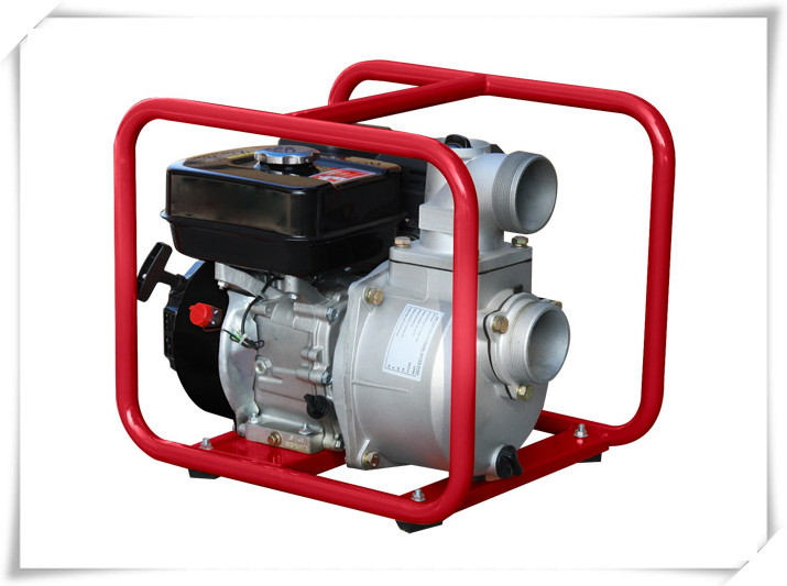 GP80水泵产品图片